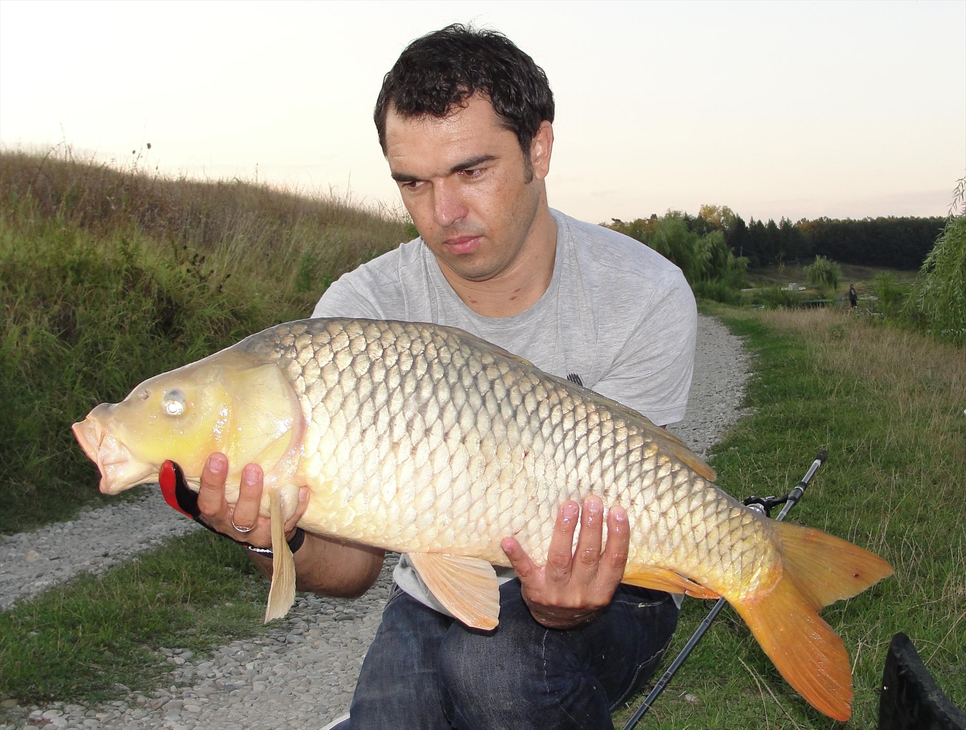 Moara Vlasiei 15.08.2012